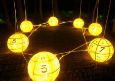 7 Numbers That Control Your Life Path