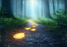Astral Travel For Beginners - Everything I Wish I'd Known Starting Out